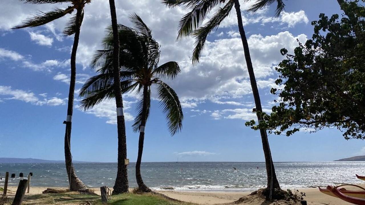 north_kihei_sandy_beach.jpg