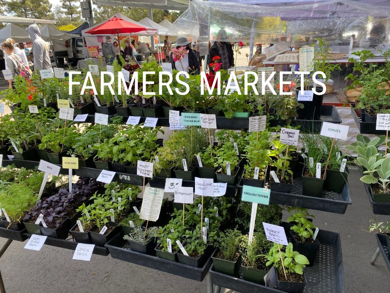 Farmers_Markets.jpg