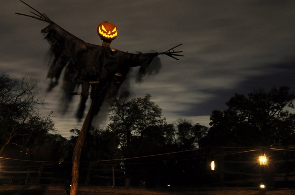 scary-halloween-decorations-front-yard-decor-ideas.jpg