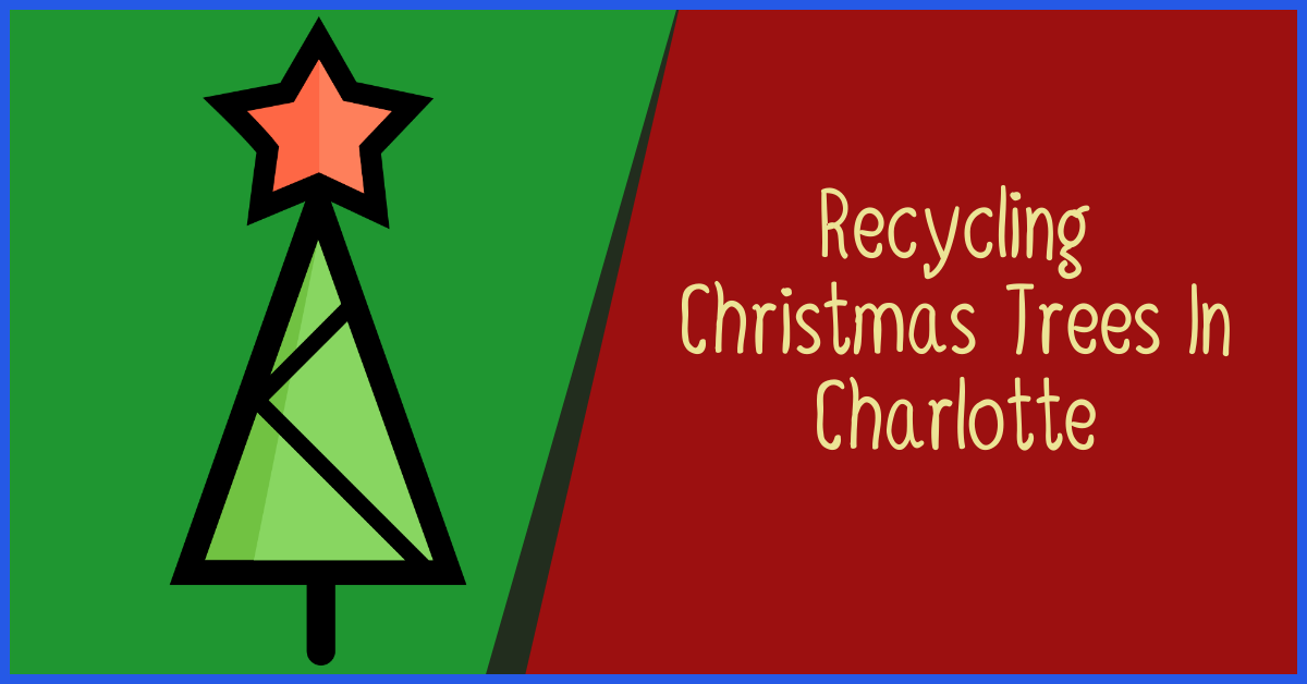 How To Properly Recycle Christmas Trees In Charlotte NC