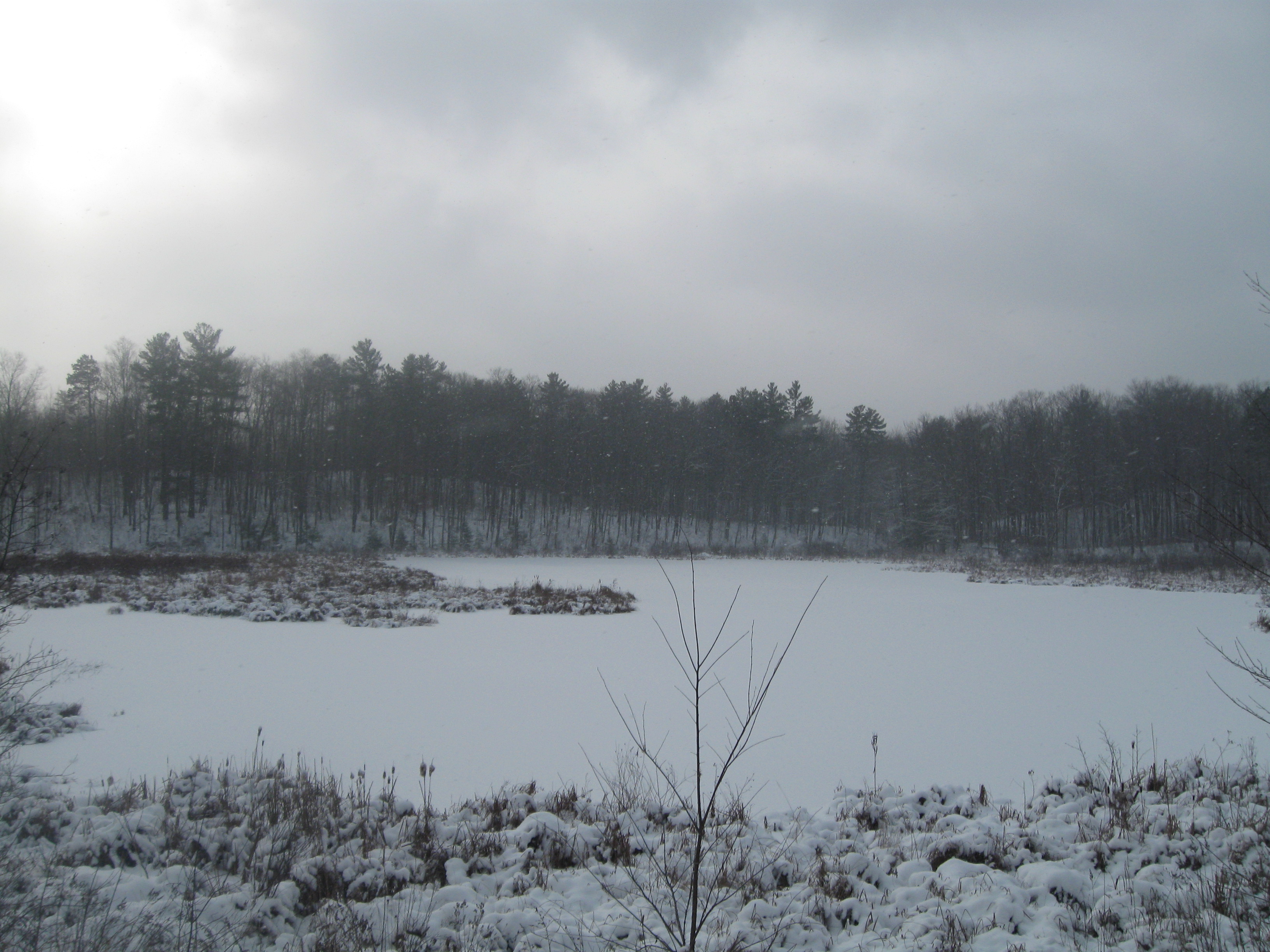 The Woodland Report Oconto County; Hunting, Timber, I