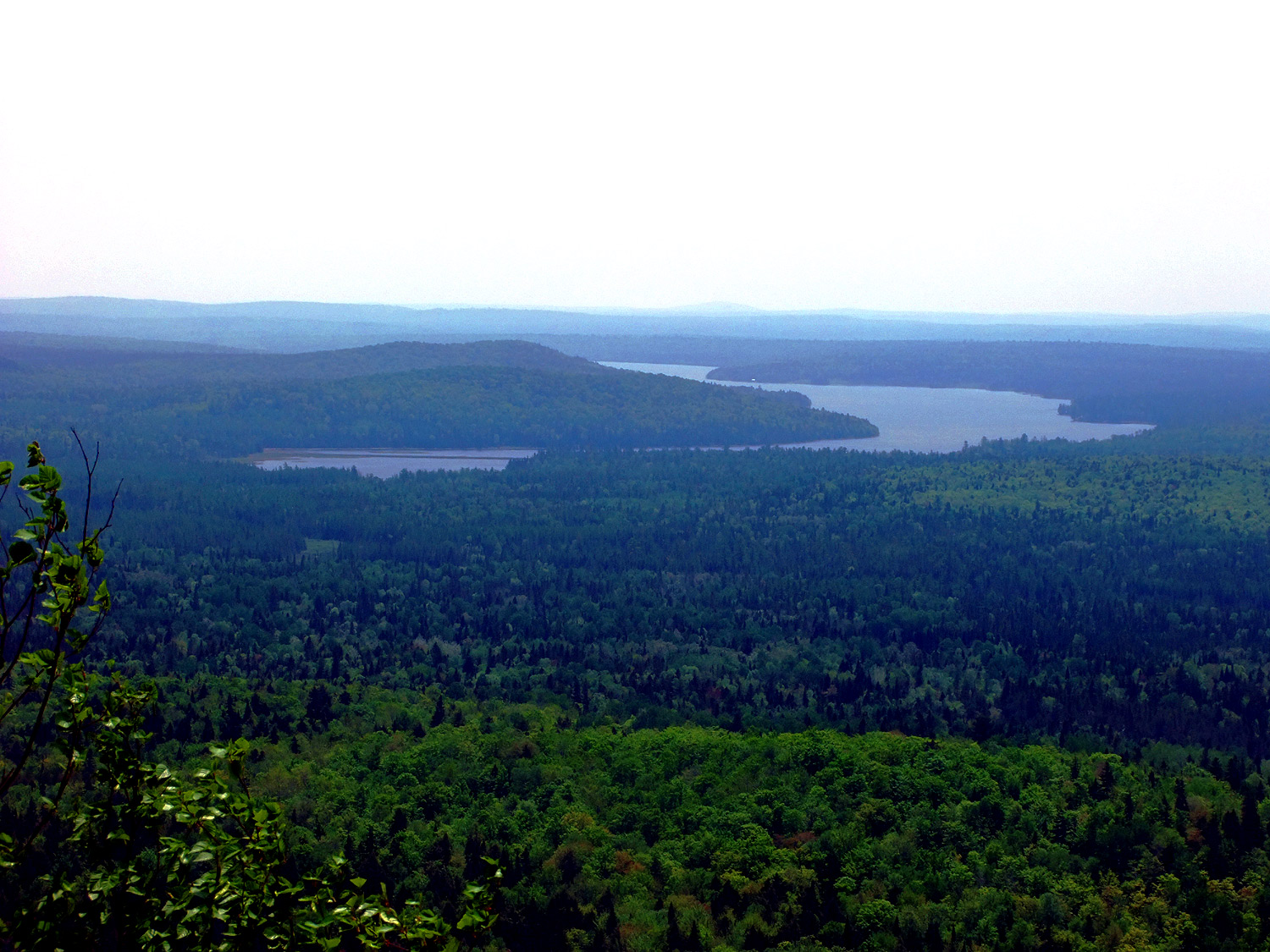 Land In Maine, So Cheaply Priced, Property Acreage So L