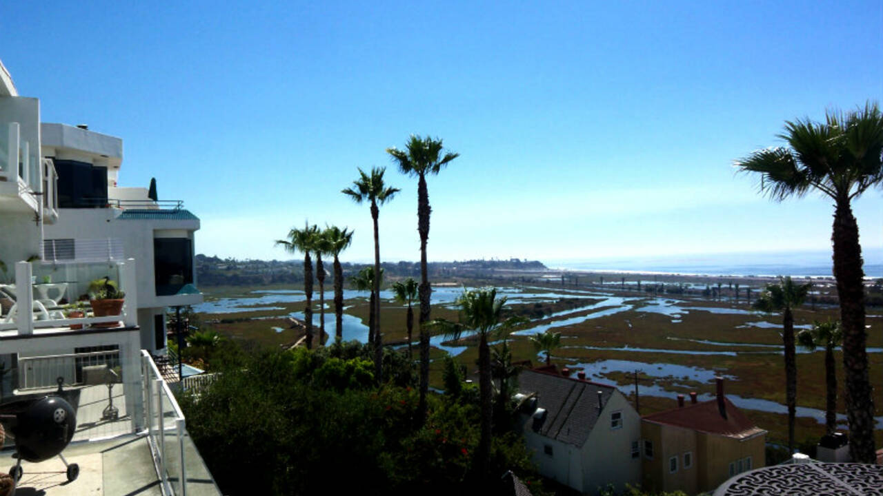 Cardiff_view.jpg