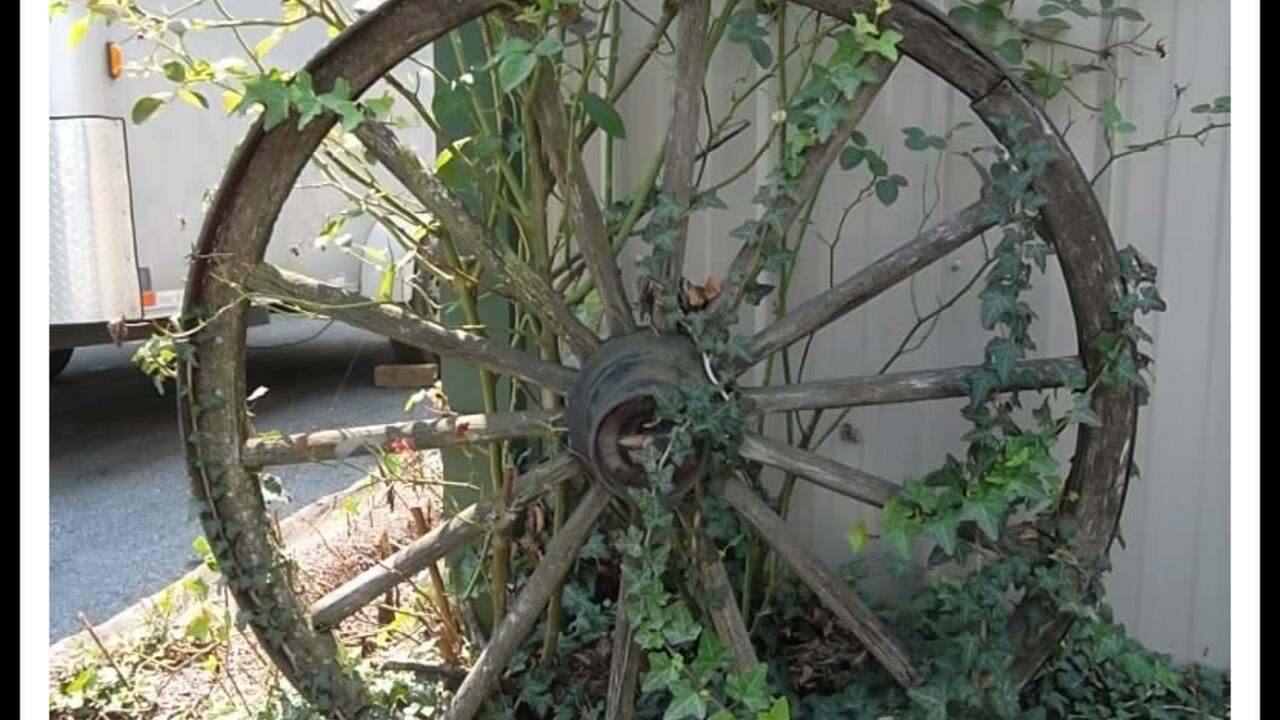 Wagon_Wheel_in_Garden.jpg