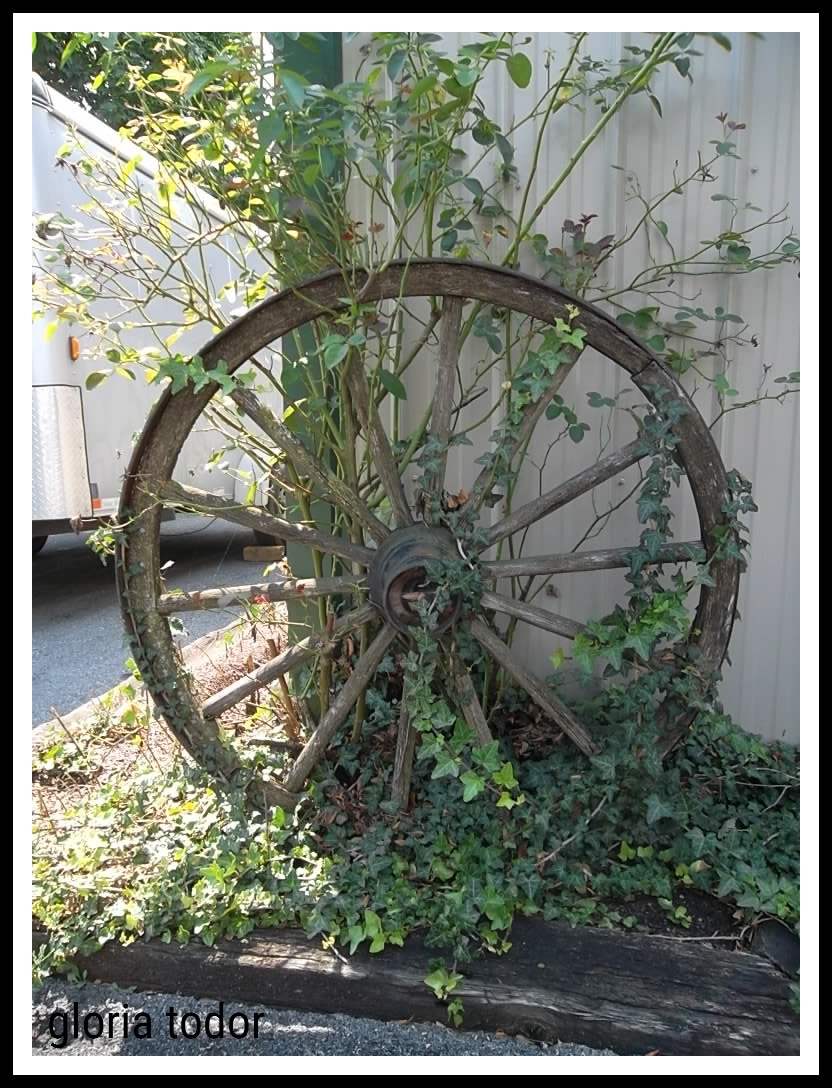 Wagon_Wheel_in_Garden.jpg