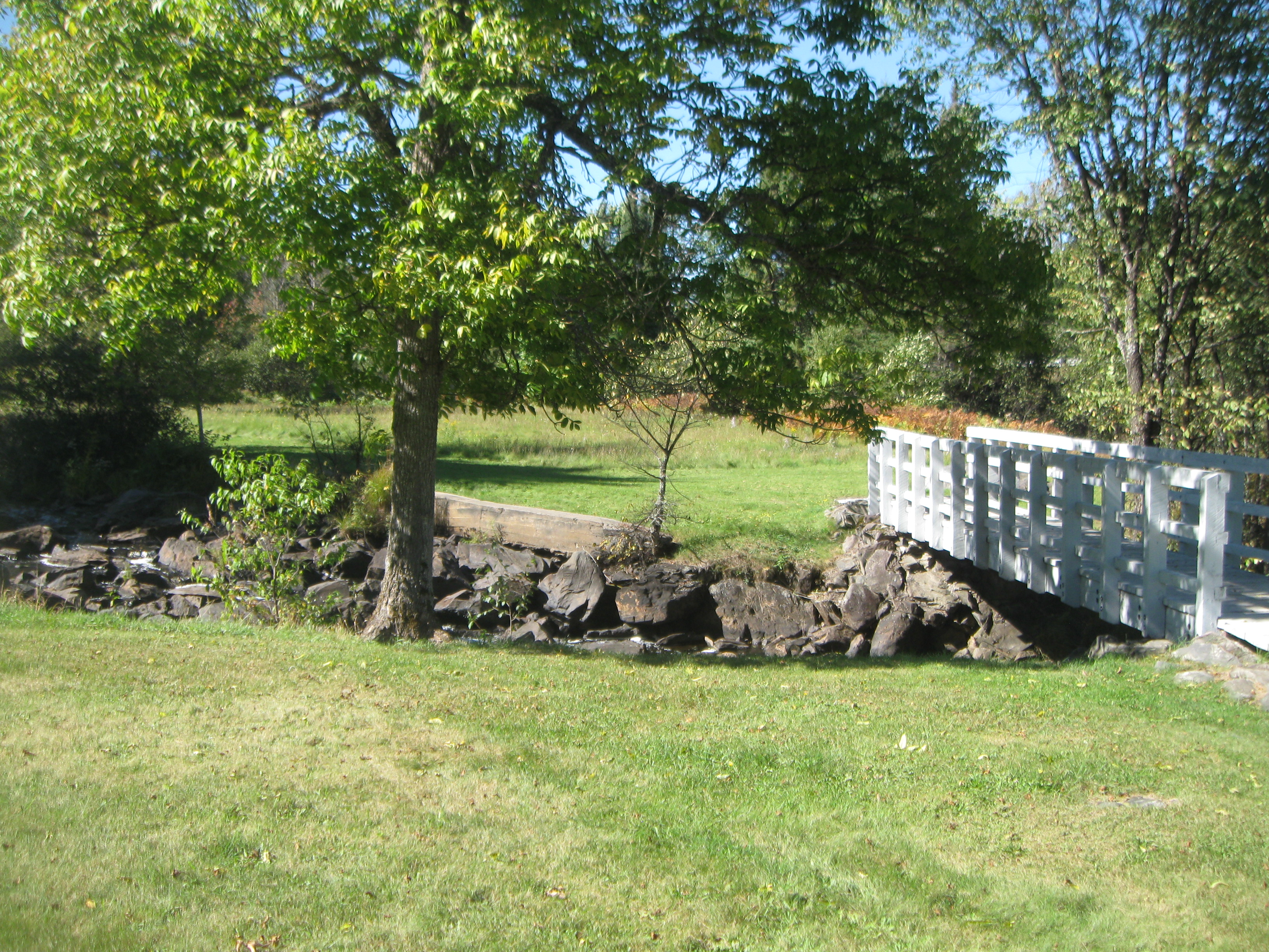 HUNTING & TIMBER LAND WANTED KENOSHA COUNTY FOREST LAND