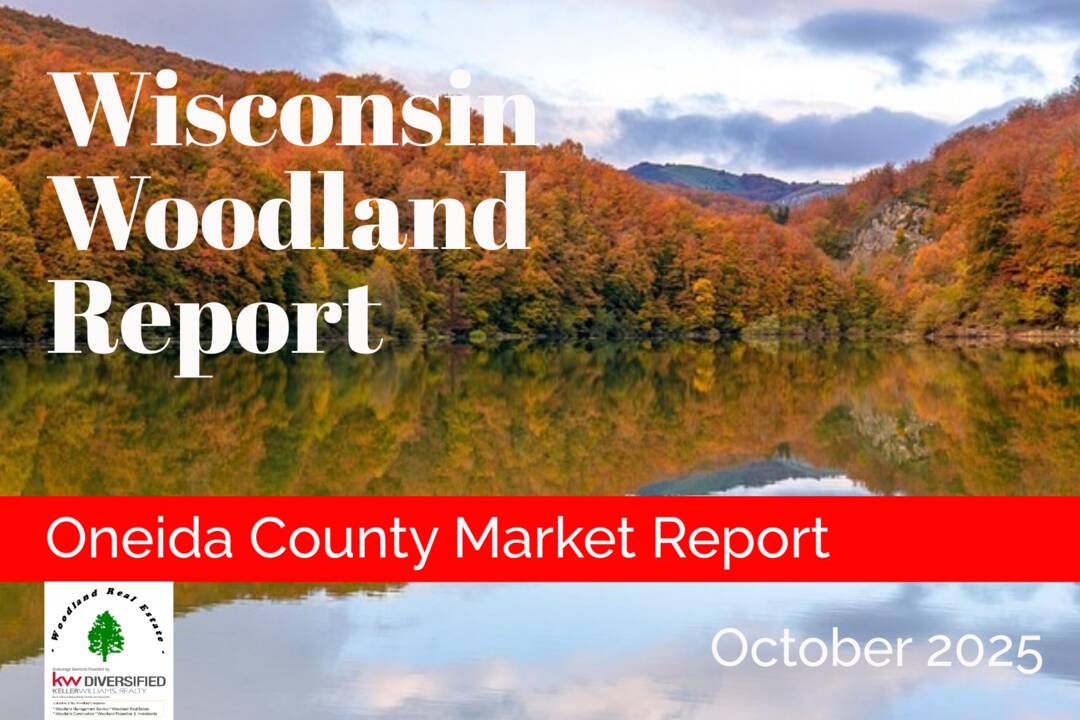 Oneida_10-2025_Woodland-Reports-1800x1200-layout1775-1kdt53s.png