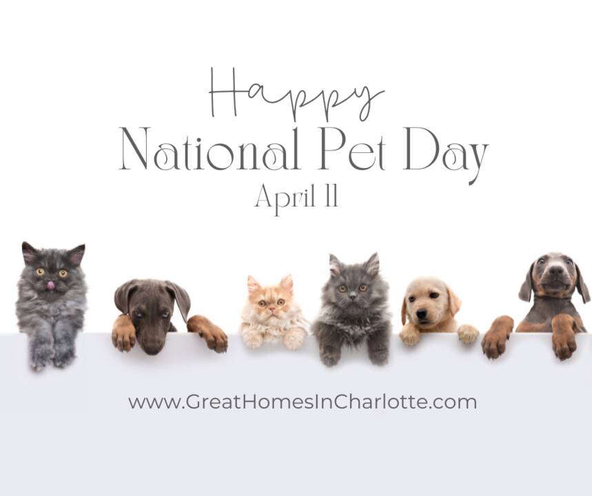 National_Pet_Day_2025.png