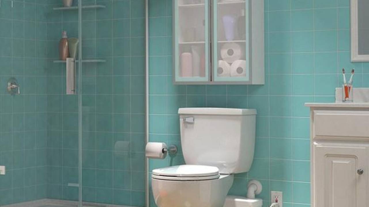 upflush-toilet-saniplus-upflush-toilet-kit-installed_grande.jpg