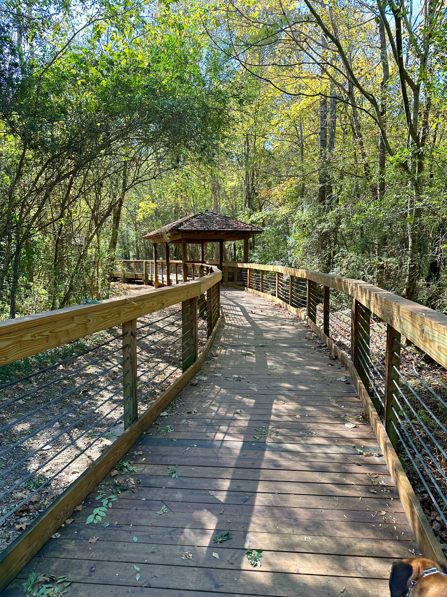 Discovering the Hidden Gem Town Creek Park in Auburn,