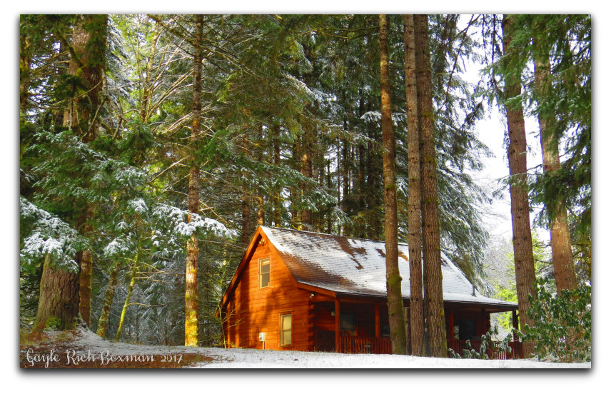 Fishhawk Lake Real Estate "Do They Allow Log Cabins"?