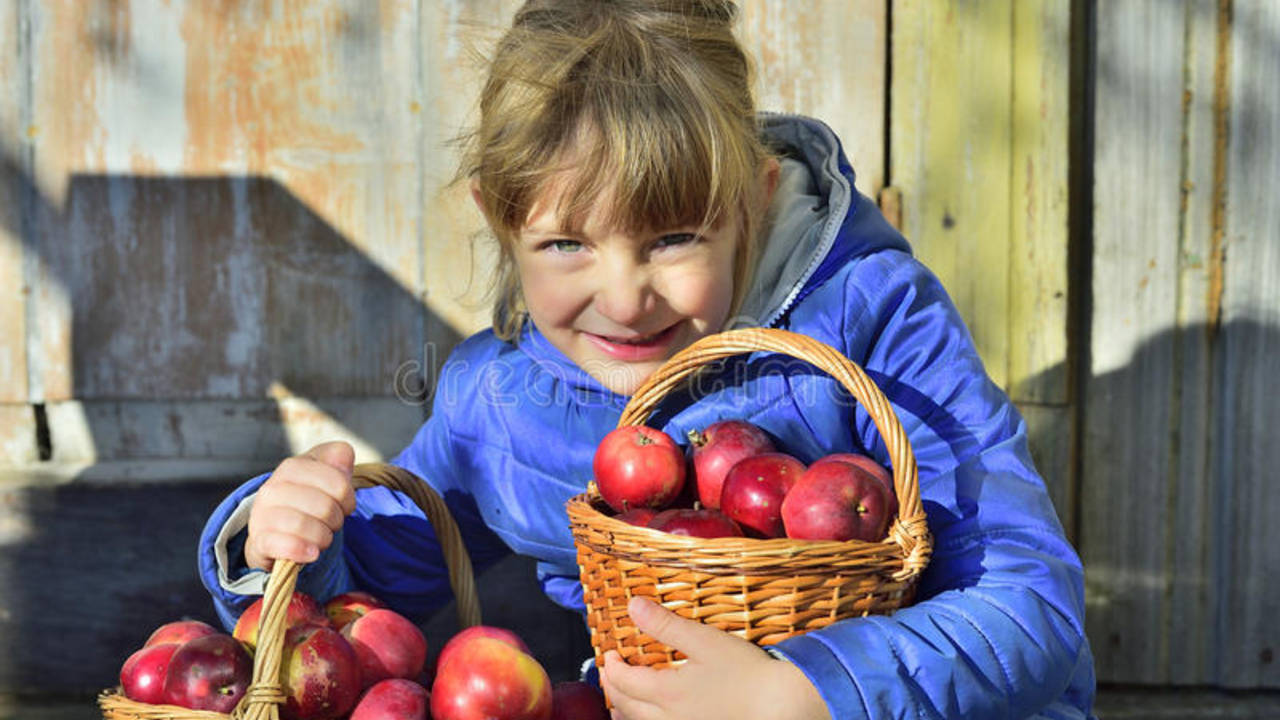 Kids_Picking_Apples.jpg