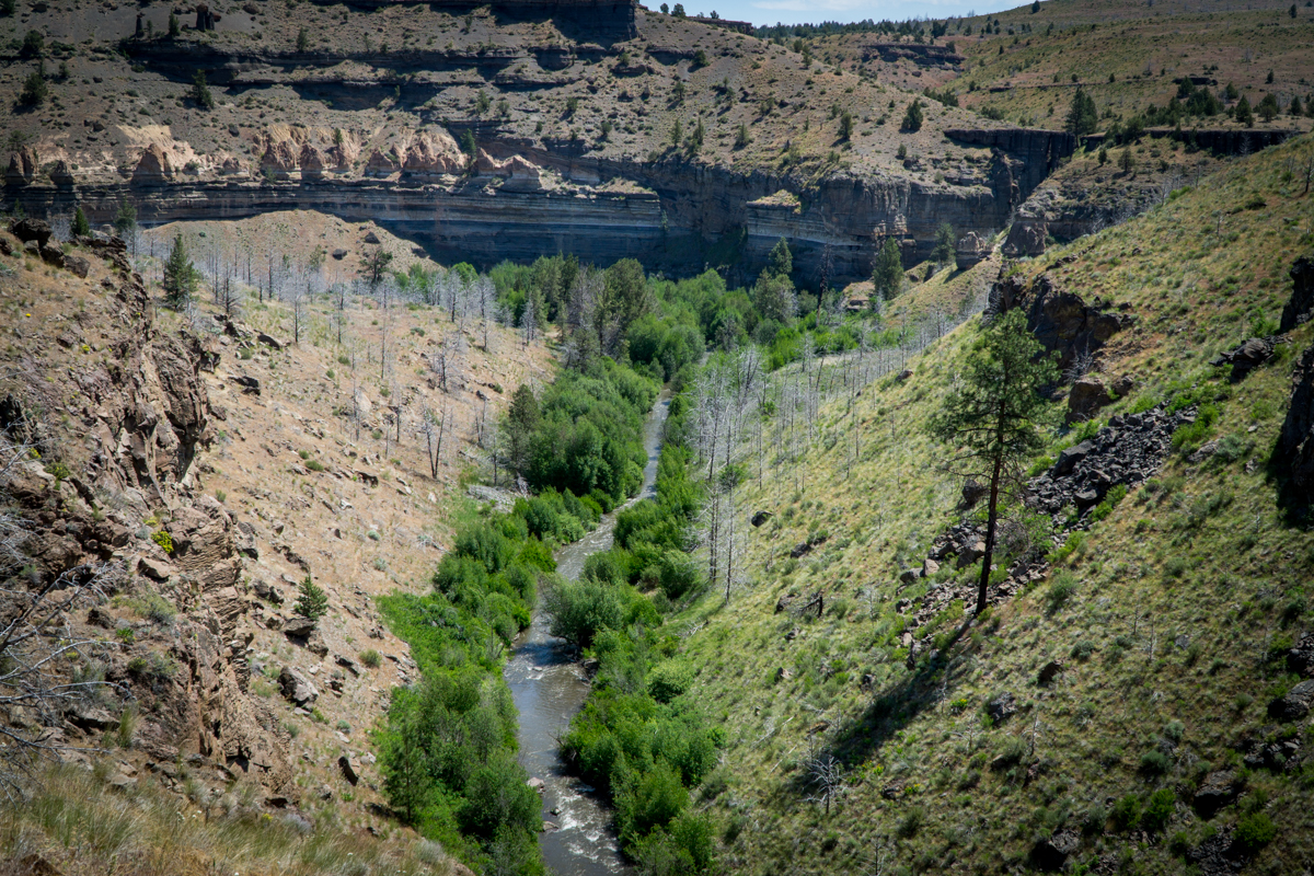 Alder Springs is a Hidden Oasis in Central Oregon