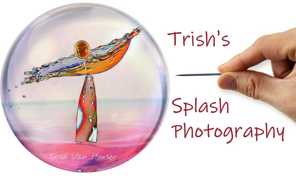 SplashFeature.jpg
