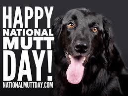 Happy National Mutt Day To All Mutts And Their Parents!