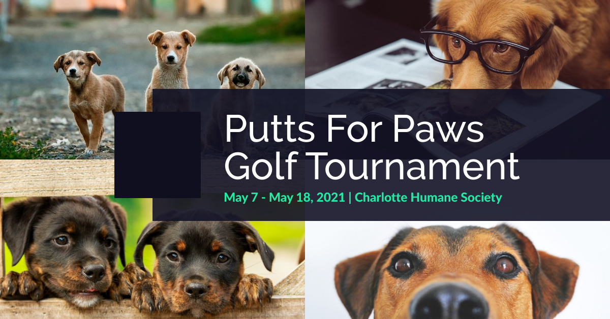 Putts For Paws Golf Tournament In Charlotte May 718