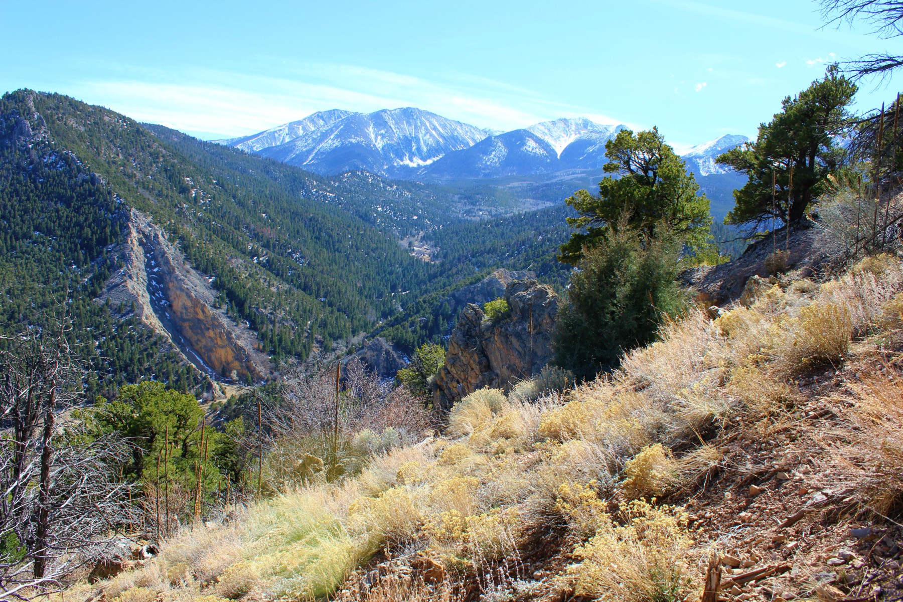 Under Contract! Paradise Lot in Howard Colorado