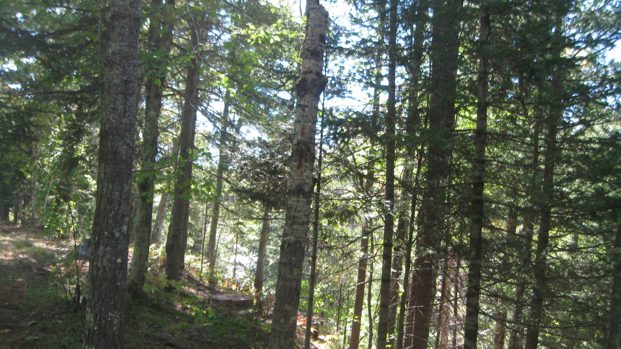 IMG_9412.JPG