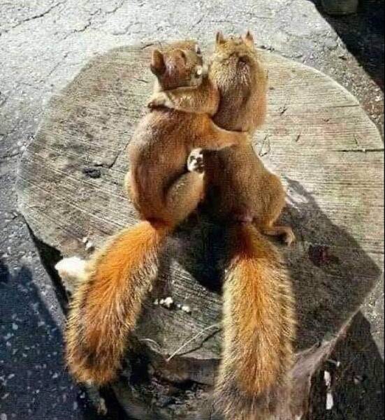 Aw_moments.jpg