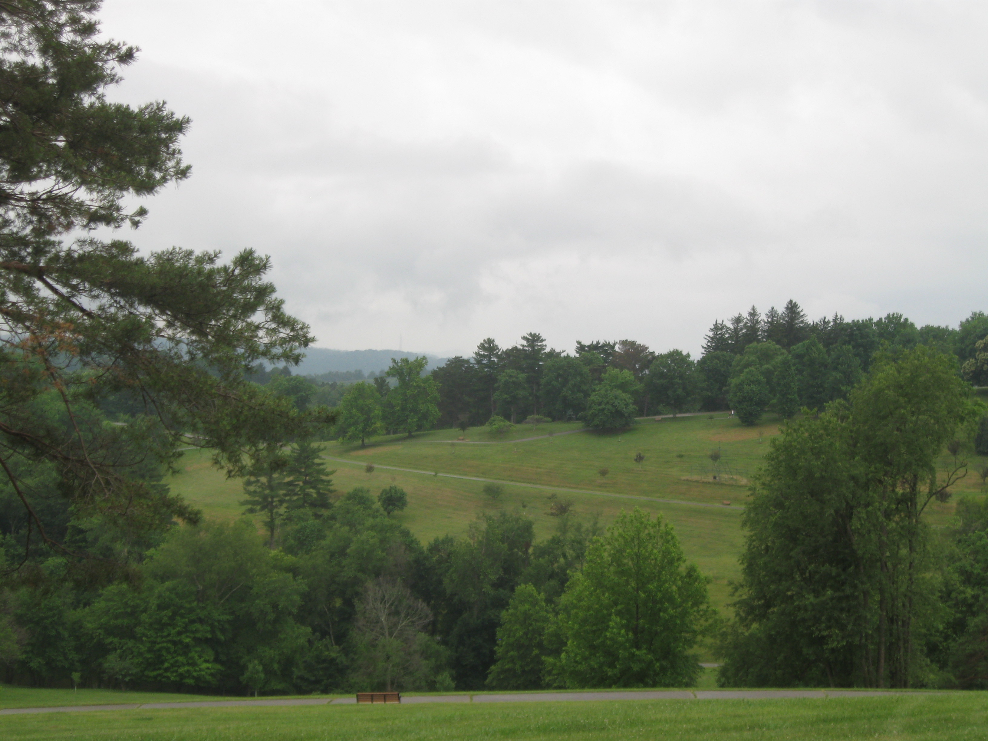 The Woodland Report Fond du Lac County; Hunting, Timb