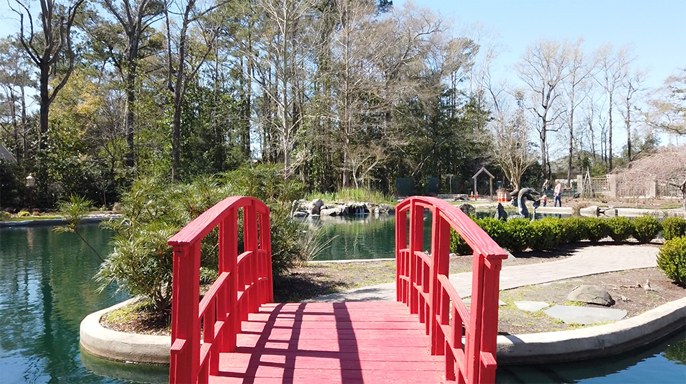 The Arboretum and Local Gardens near Brunswick Forest