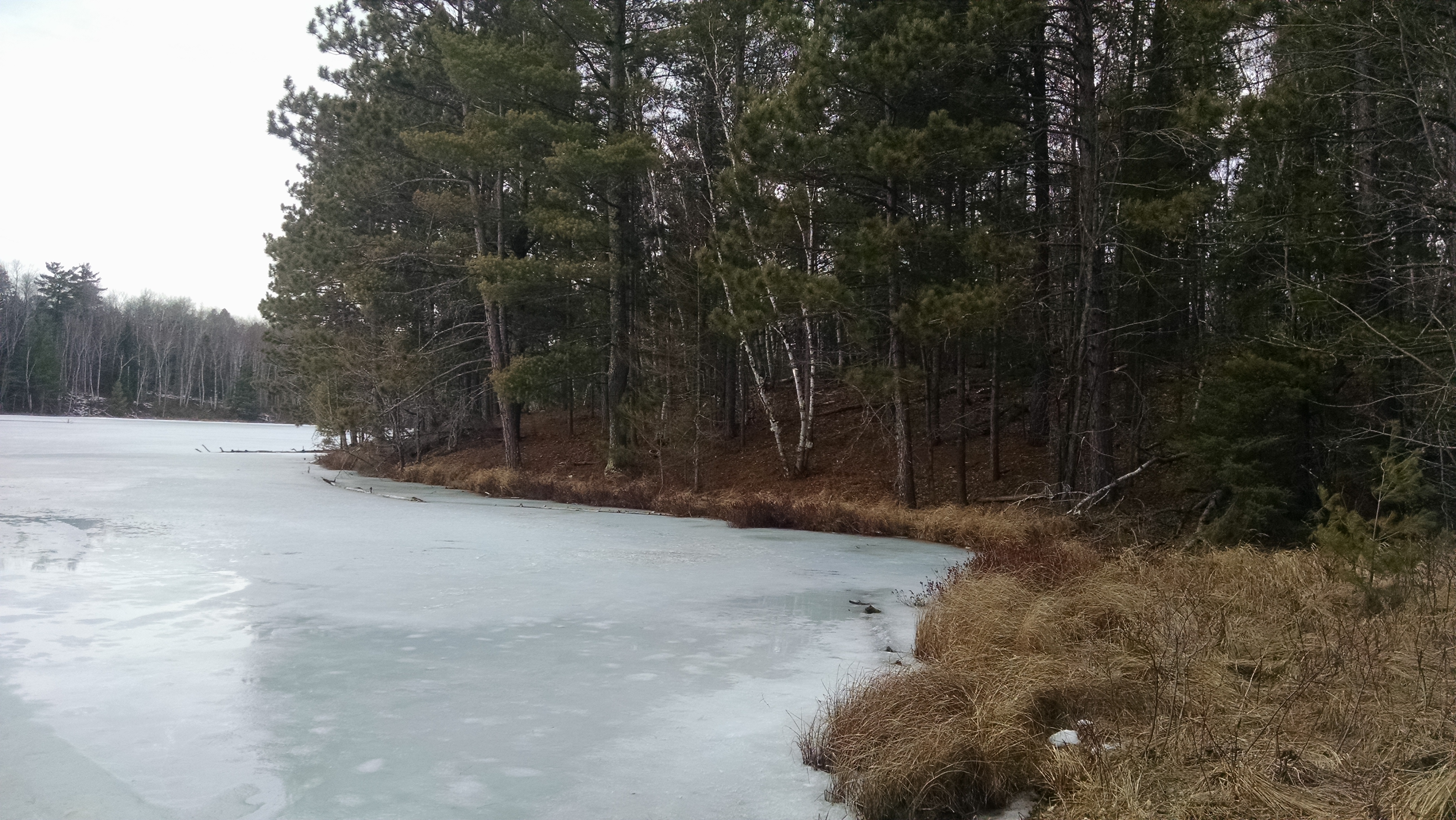 SOLD MARKET REPORT FORESTLAND Eau Claire County; Hunt