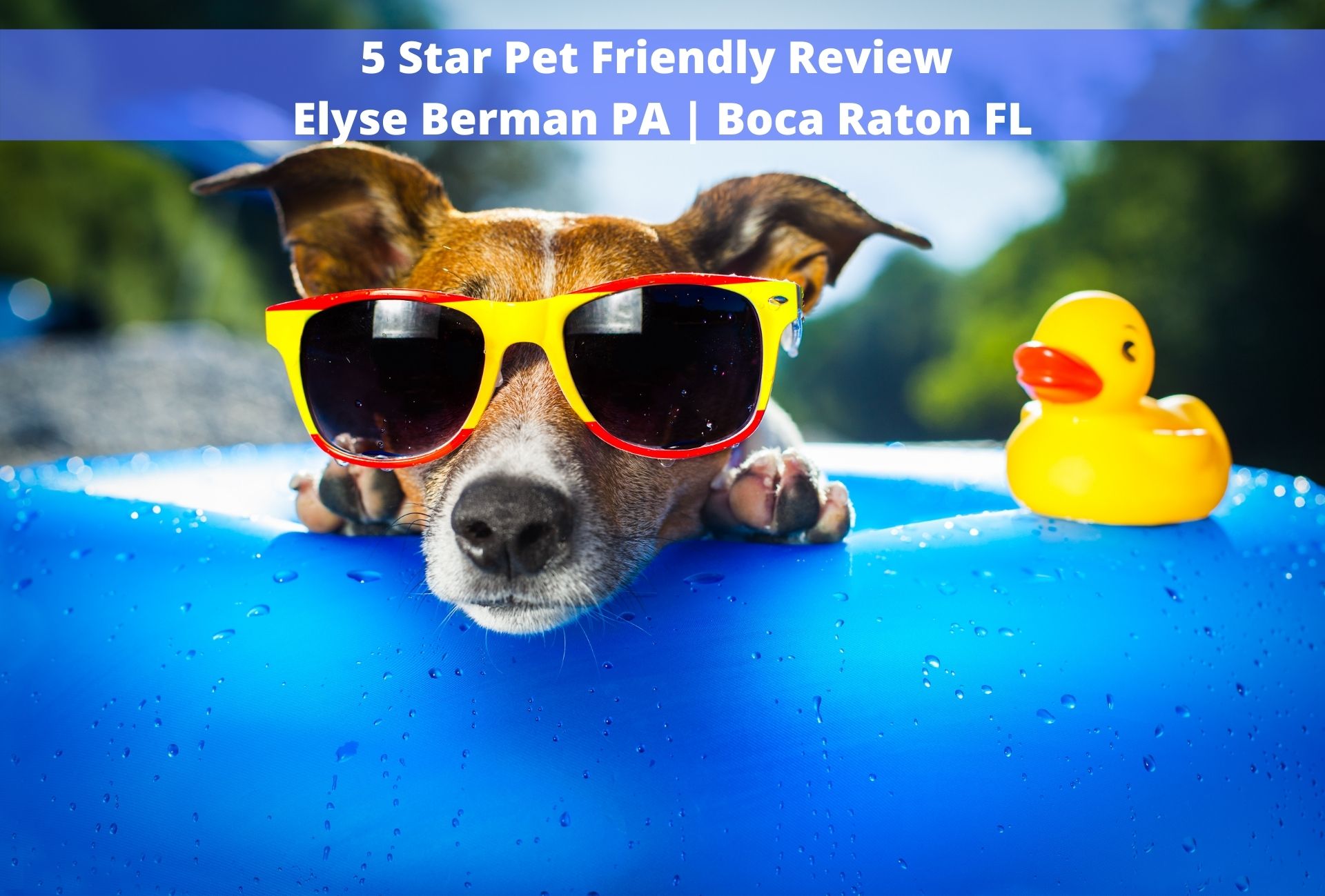 5 Star Review Elyse Berman PA Boca Raton FL