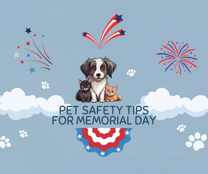 Pet_Safety_Tips_For_Memorial_Day_2025.png