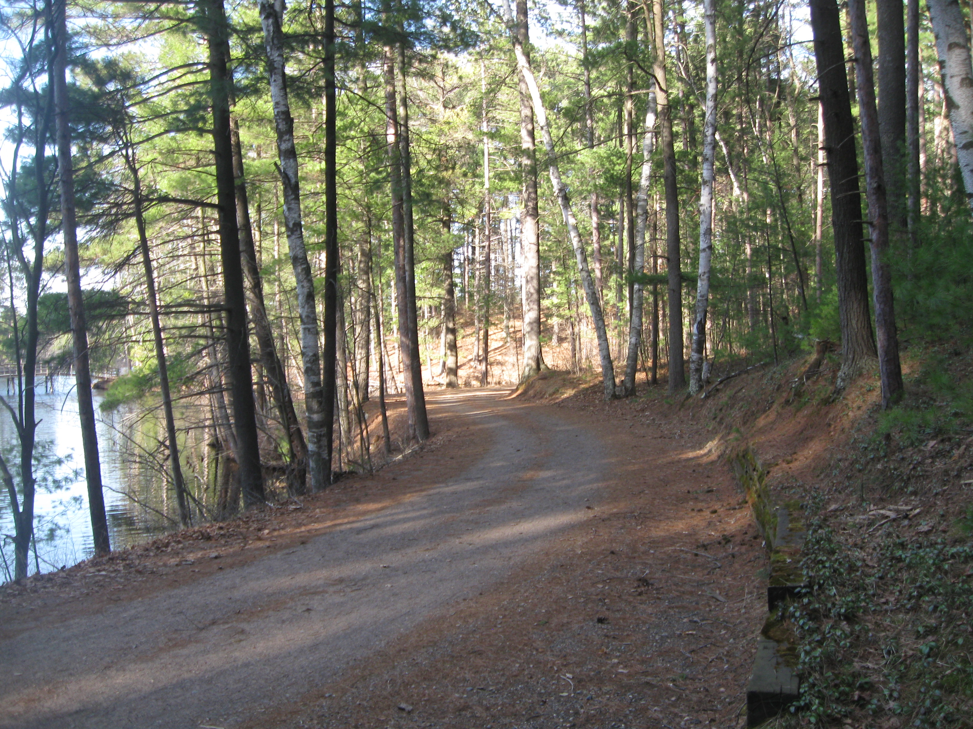 Wisconsin Forestland