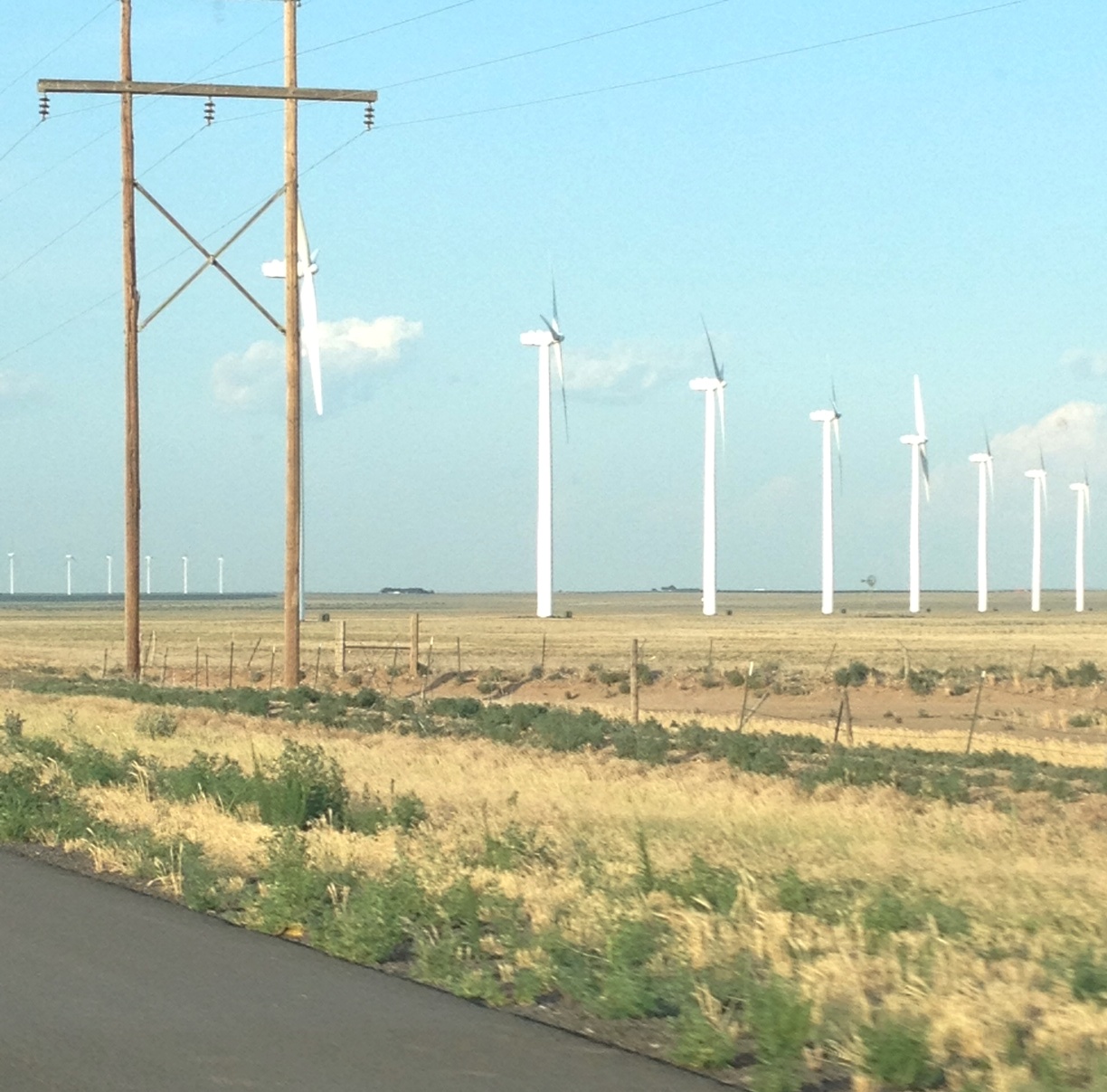 Power_poles_and_wind_turbines.JPG
