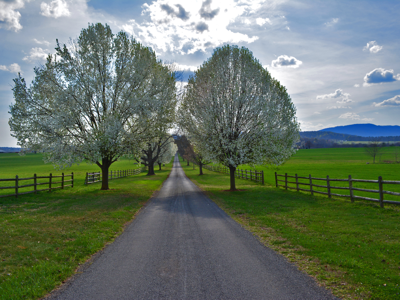 Torthorwald Farm in Beautiful Hebron Valley, Virginia