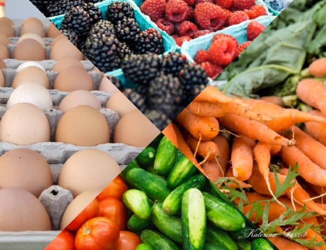 Farmers_Markets_in_and_around_Provo_Utah_2024.png