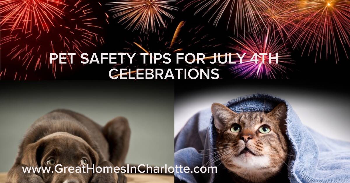 Pet Safety Tips For July 4th Celebrations And Fireworks