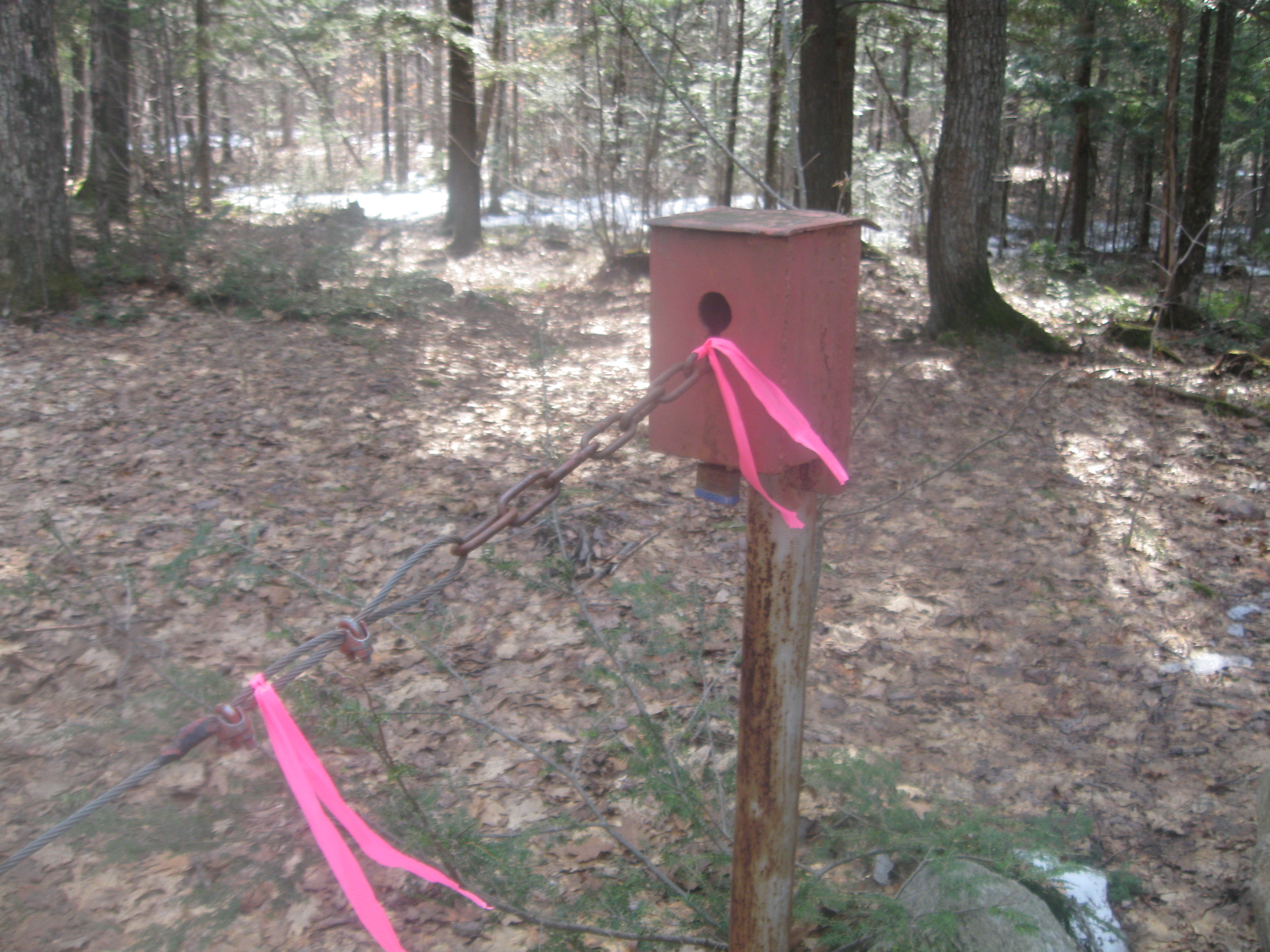 The Woodland Report Shawano County; Hunting, Timber,