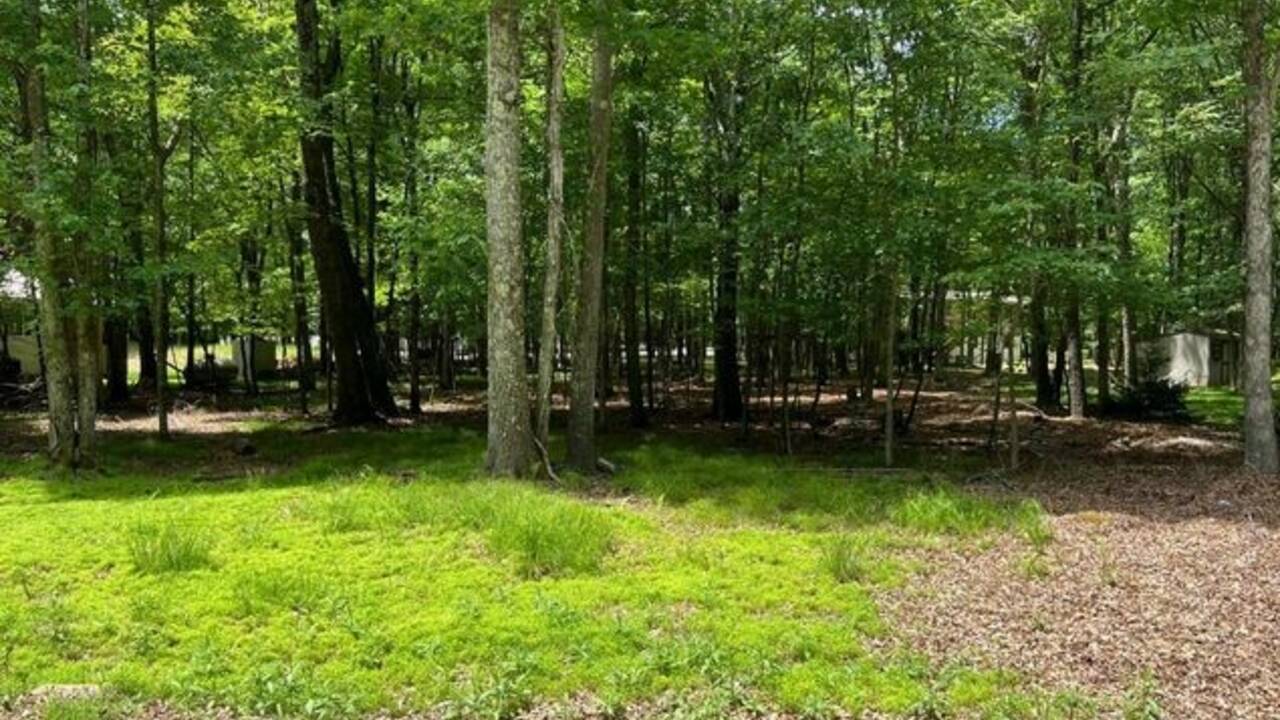 Nice Flat Lot in Towamensing Trails