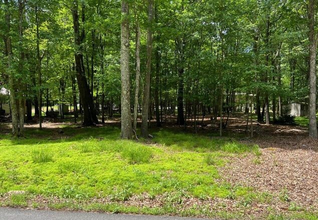 Nice Flat Lot in Towamensing Trails