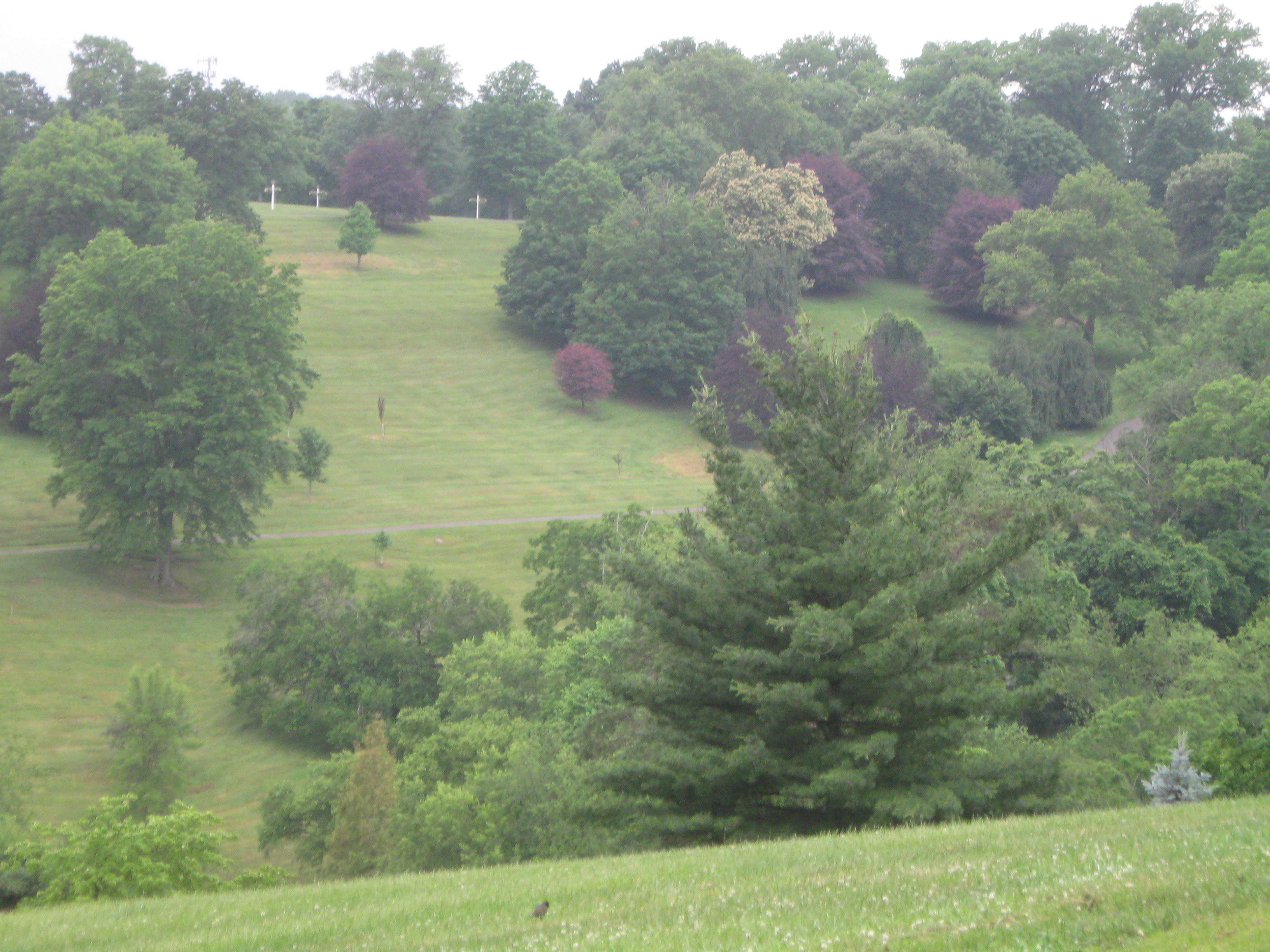 The Woodland Report Sheboygan County; Hunting, Timber