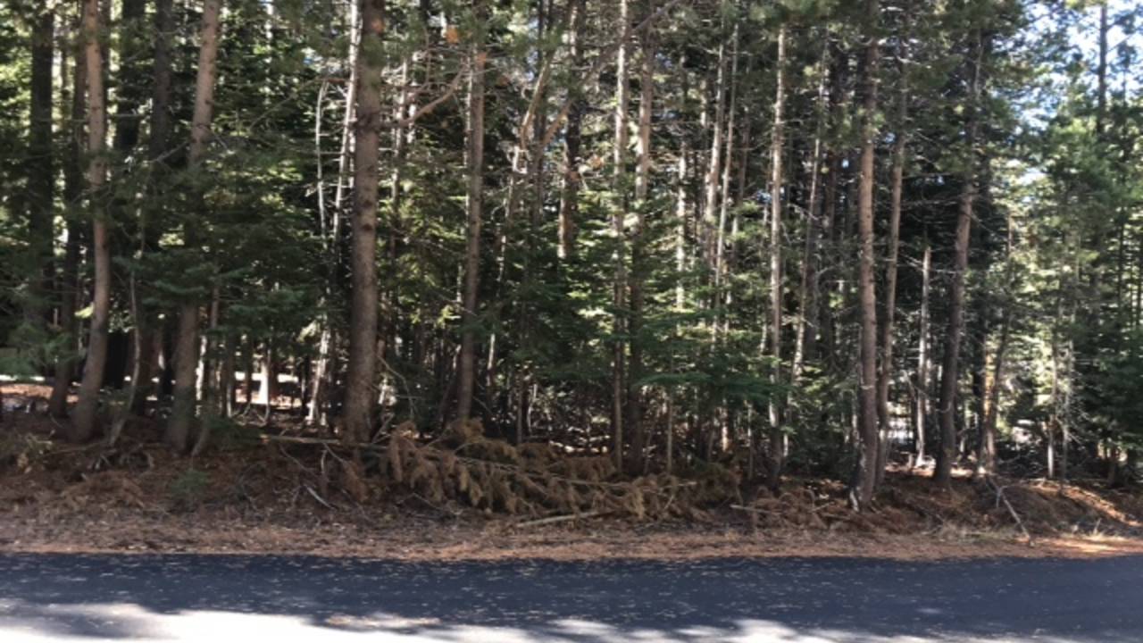 image4.JPG