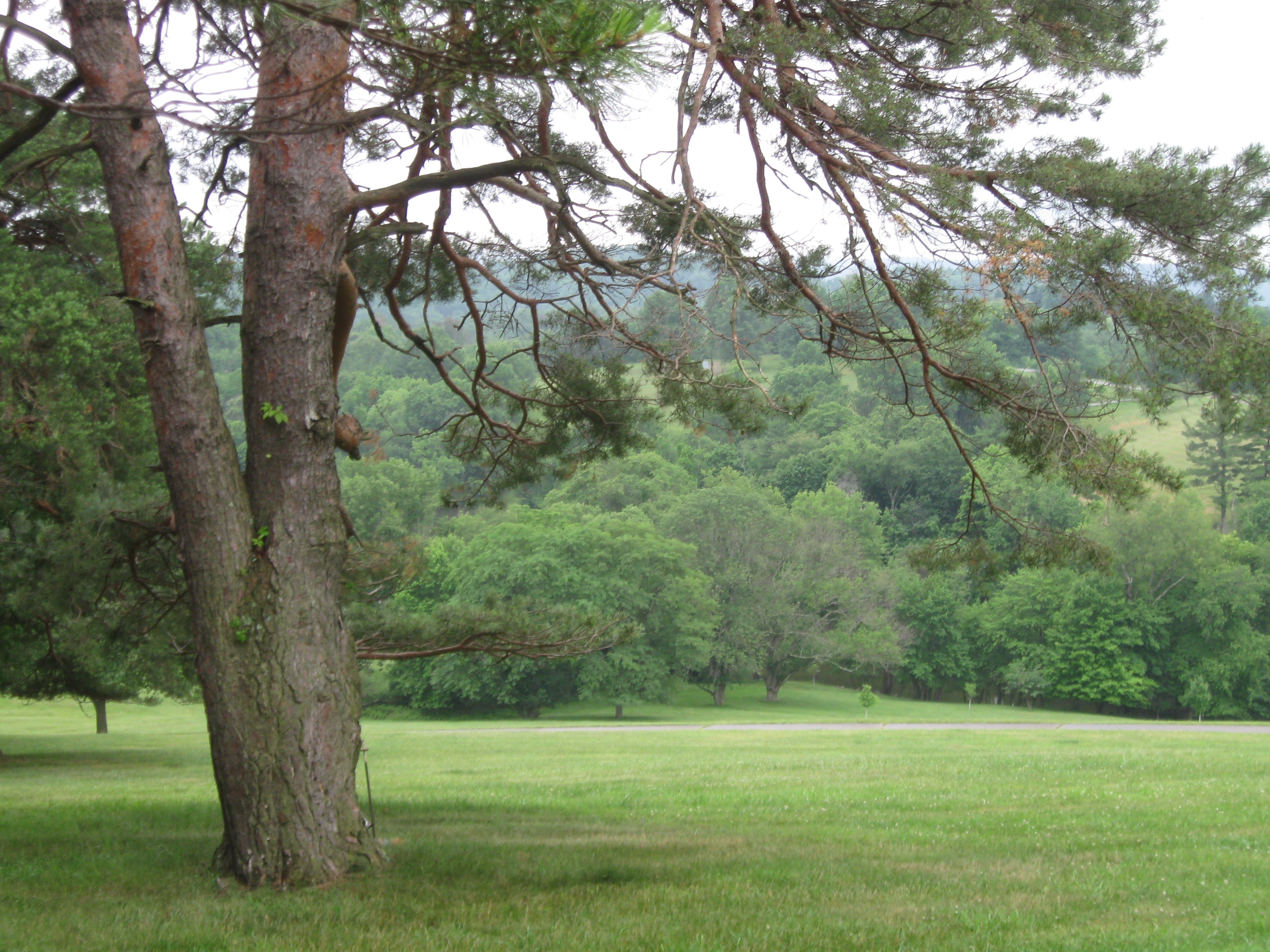 The Woodland Report Winnebago County; Hunting, Timber