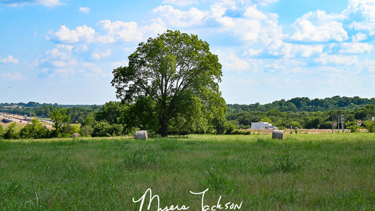 177_Acre_Texas_Land_Auction_1.jpg