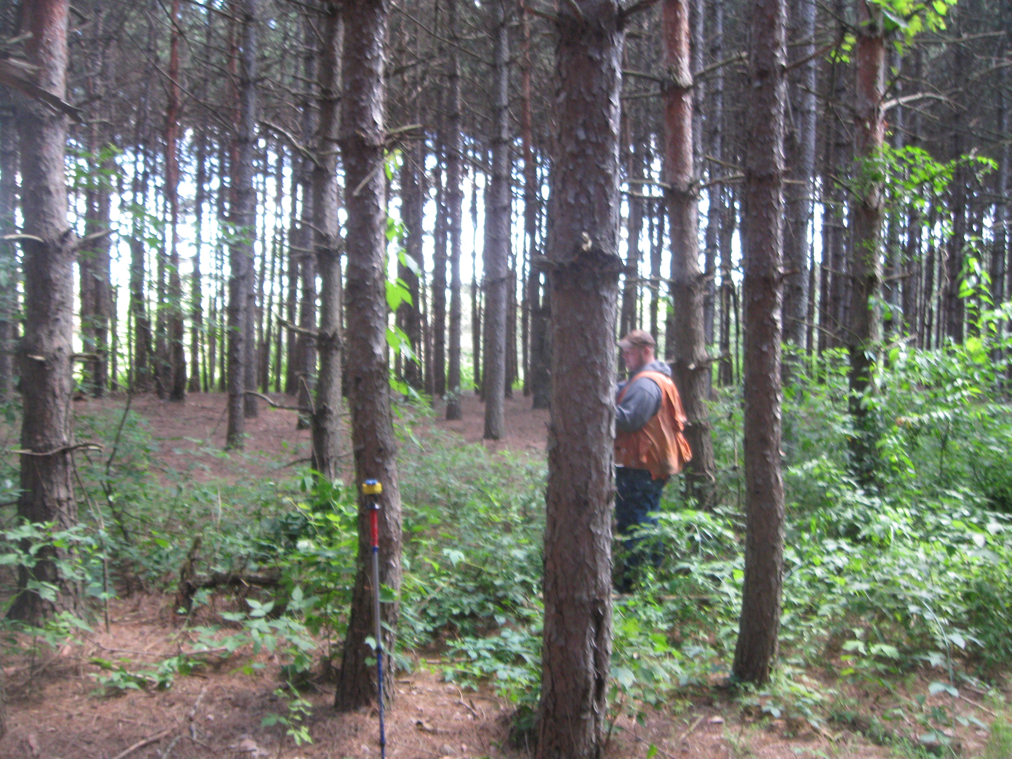 FOREST LAND WANTED APRIL 2020! WAUPACA COUNTY HUNTING