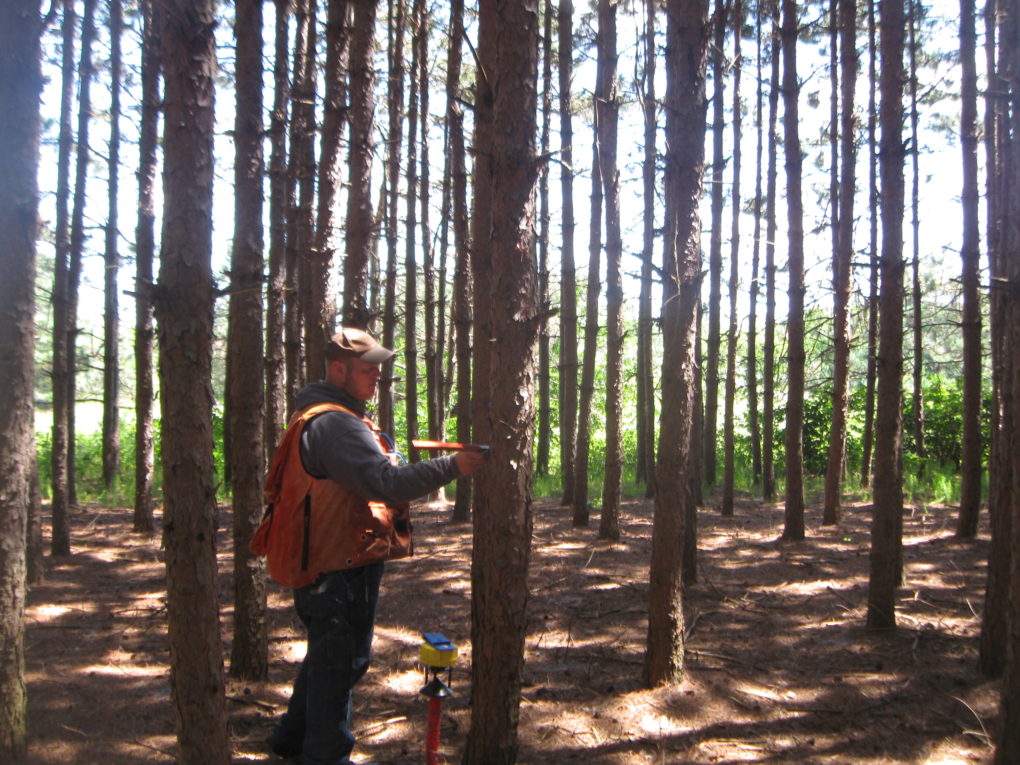 FOREST LAND WANTED APRIL 2020! EAU CLAIRE COUNTY HUNTIN