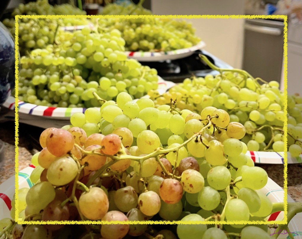 Nerdin Gardens It's a grape day!