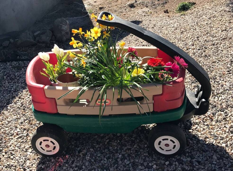 planting_smiles.jpeg