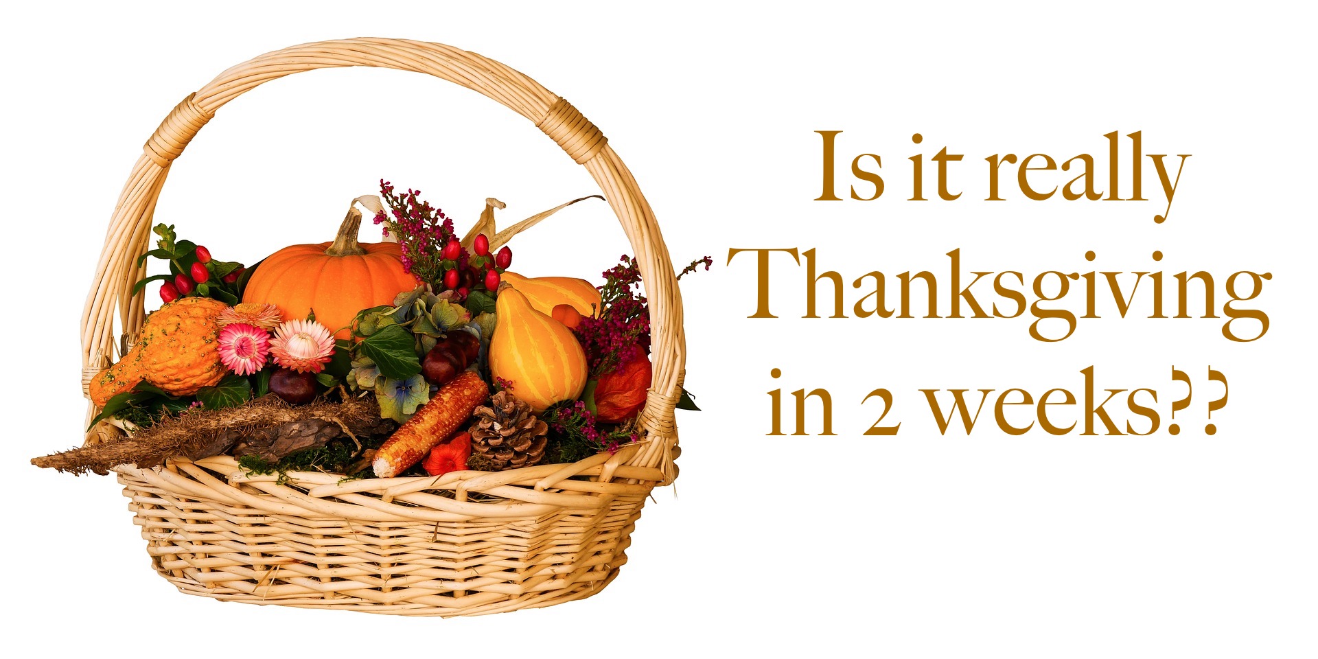 is-it-really-thanksgiving-in-2-weeks