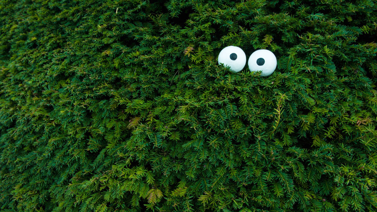 green_moss_google-eyed_monster.jpg