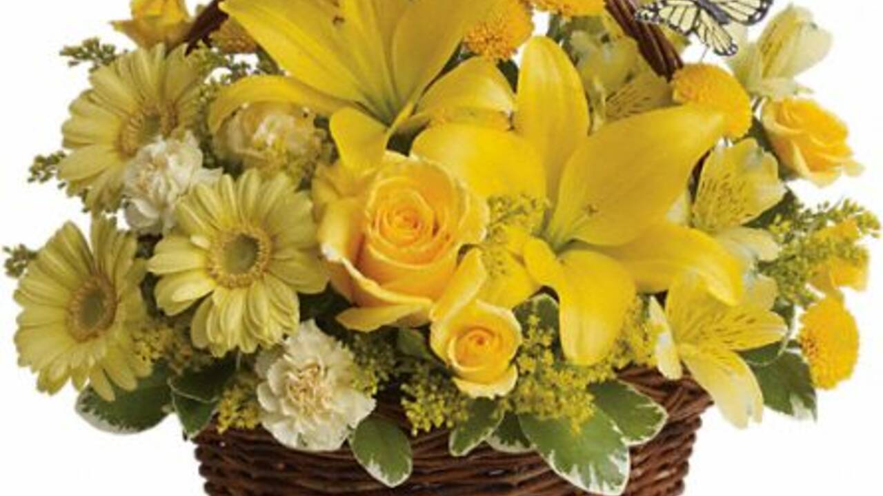 Yellow_Flowers_for_Noah.jpg