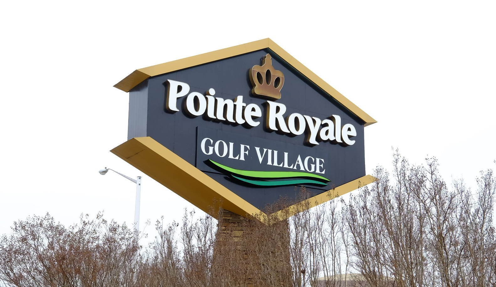 Homes for Sale in Pointe Royale Branson MO