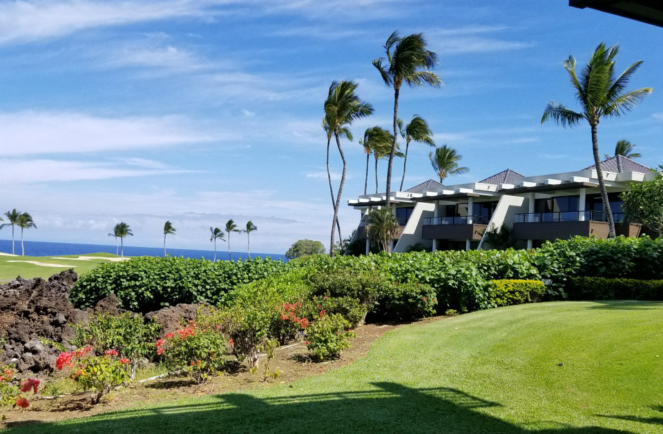 Kohala Real Estate Market Report for August 2019