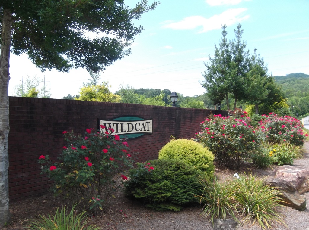 Wildcat gated community Mountain home just minutes to d